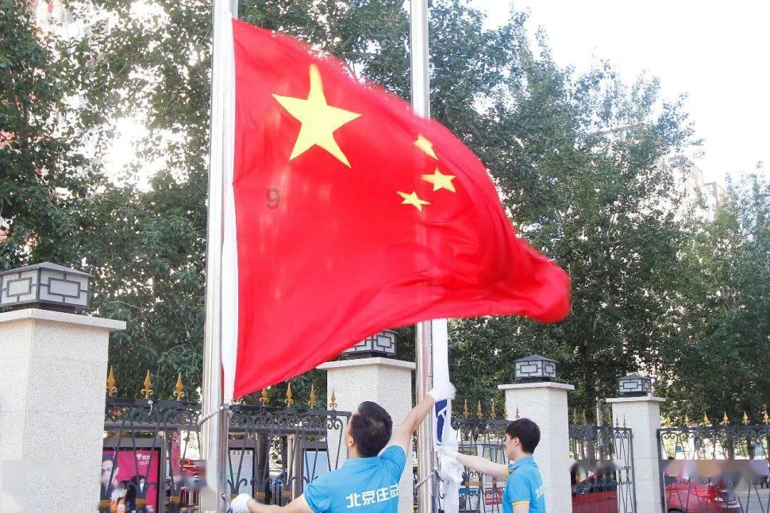 救援男孩与狗